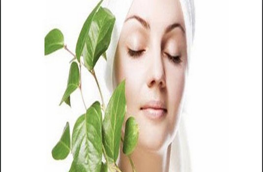 Anti Aging & Renew